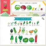 Fruits et légumes de Mai