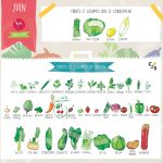 Fruits et légumes de Juin