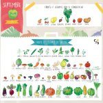 Fruits et légumes de Septembre