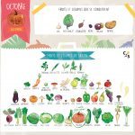 Fruits et légumes d’Octobre