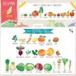 Fruits et légumes de Décembre